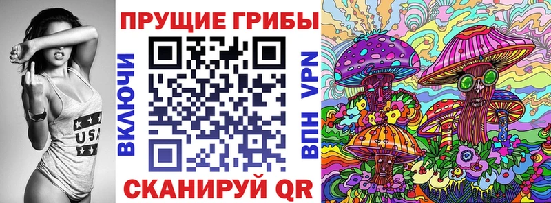 Купить где  Коломна  Галлюциногенные грибы Magic Shrooms 