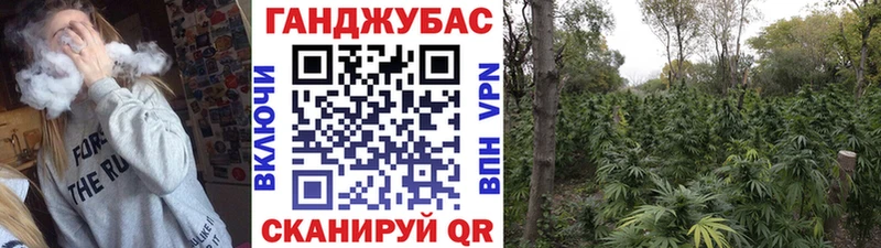 Купить где Коломна Конопля план